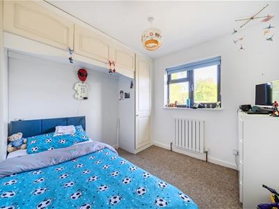 Picture 17